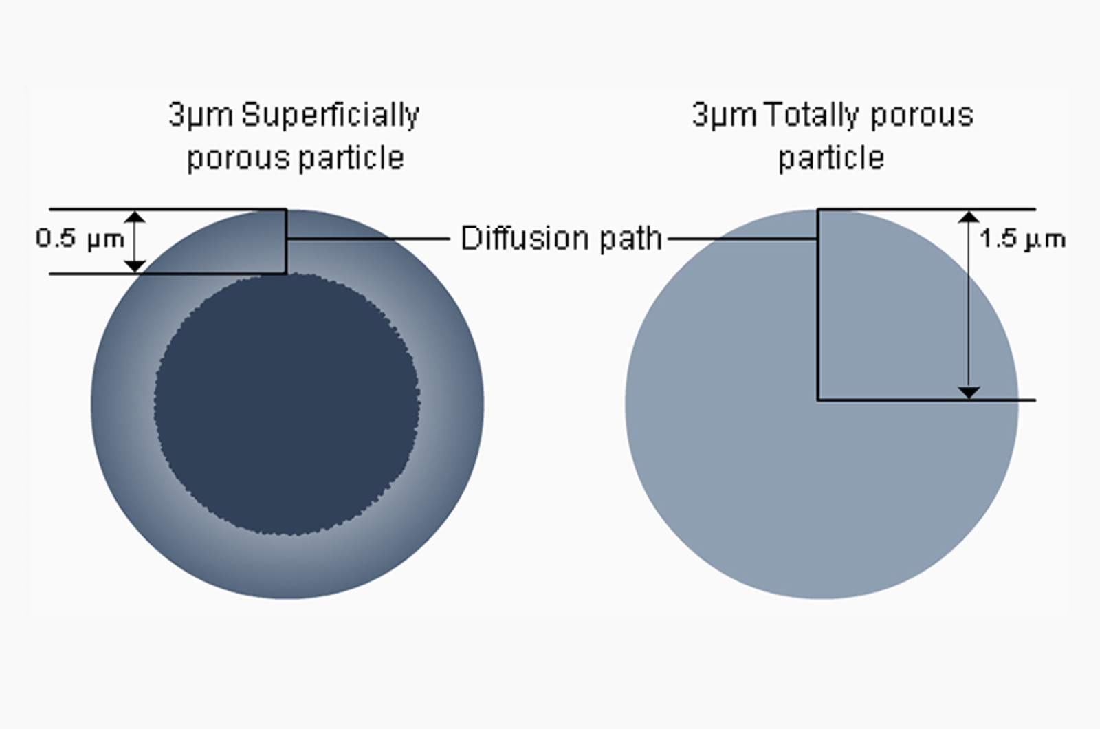Choosing Between Fully Porous and Superficially Porous Particles in HPLC: Performance, Pressure, and Practicality